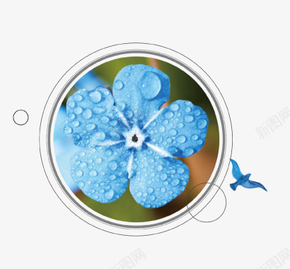 露珠蓝色唯美花朵图标图标