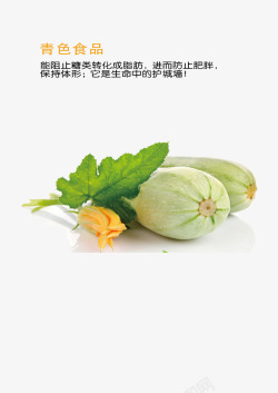 青色蔬菜西葫芦食堂文化素材