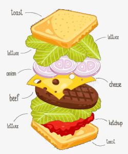 汉堡分解图素材