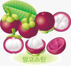 韩国风格精美诱人水果山矢量图素材