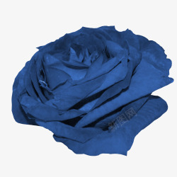 蓝色盛开花朵素材