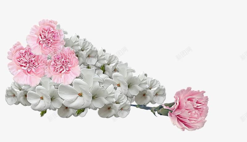 一束盛开的鲜花png免抠素材_88icon https://88icon.com 康乃馨 植物 白色花朵 粉色花朵 花 花朵 鲜花