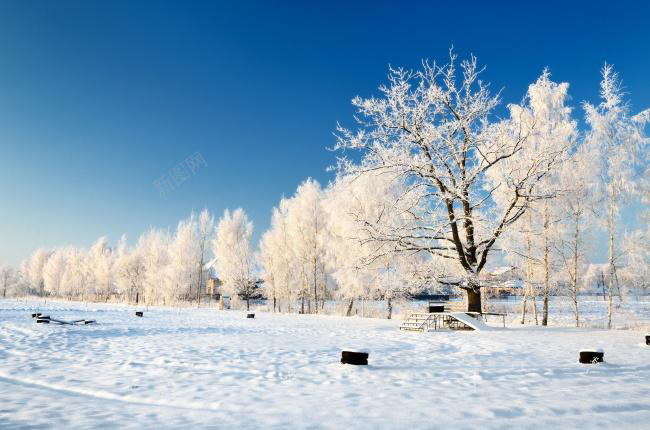 冬季户外公园雪景png免抠素材_88icon https://88icon.com 公园 冬季 户外 雪景