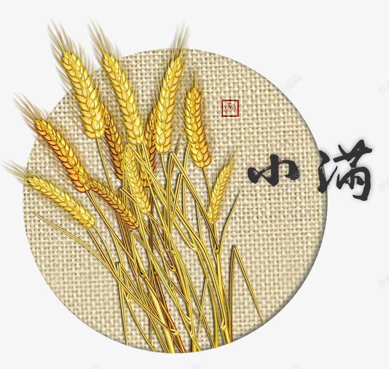 黄色圆弧小满粮食元素png免抠素材_88icon https://88icon.com 圆弧 小满 粮食 纹理 金色 食物 麦穗 黄色