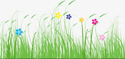 摄影五颜六色花朵手绘草丛素材
