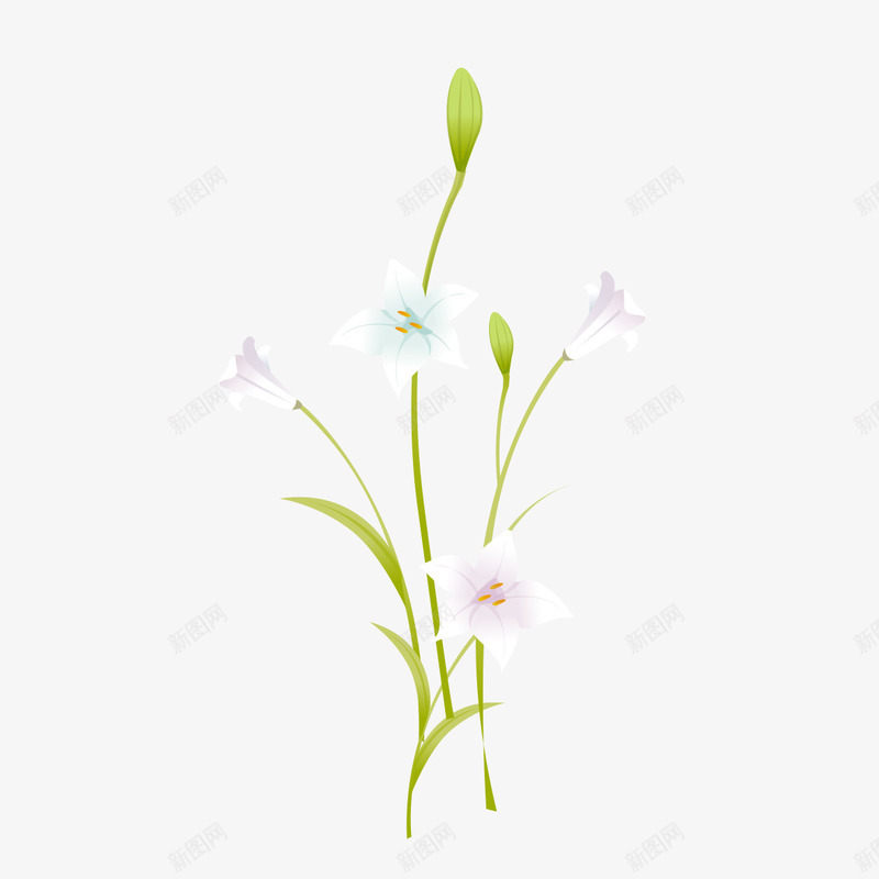 小花盛开中png免抠素材_88icon https://88icon.com 植物 盛开 绿色 花瓣