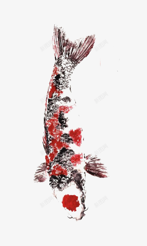 水彩草鱼png免抠素材_88icon https://88icon.com 中国风 水墨画 红色锦鲤 鲤鱼