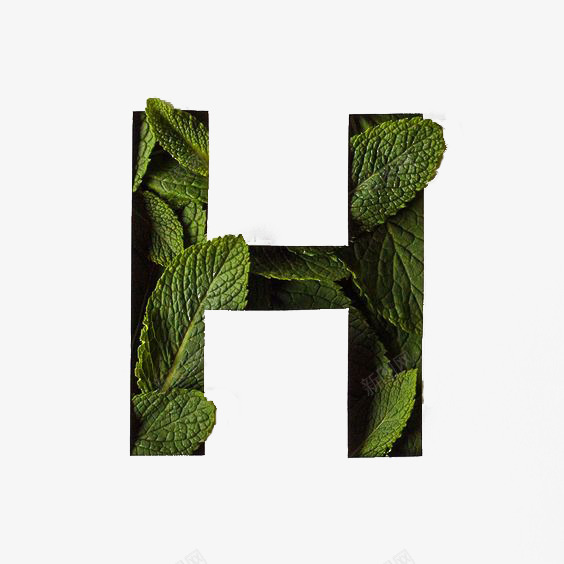 薄荷叶创意英文字体Hpng免抠素材_88icon https://88icon.com 创意 字体 植物 绿色 英文
