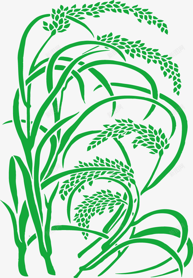 稻谷大米稻穗禾稻png免抠素材_88icon https://88icon.com 大米 禾稻 稻穗 稻谷 金色麦穗 黃色稻穗