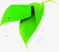 绿色卡通脉络露珠树叶素材