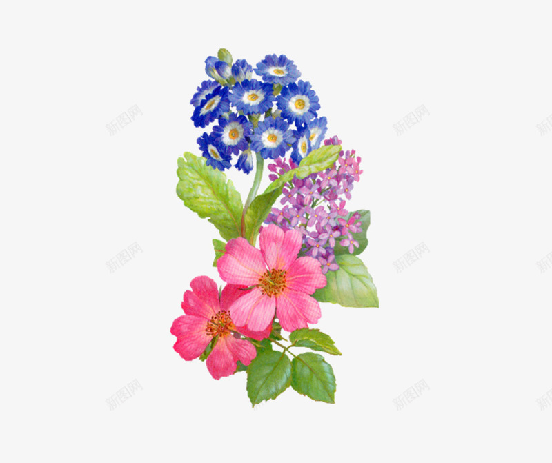 粉蓝盛开小花花束png免抠素材_88icon https://88icon.com 红色 花卉 蓝色 鲜花