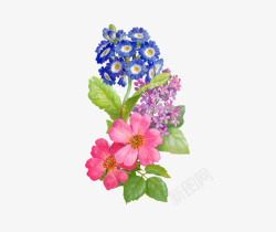 粉蓝盛开小花花束素材