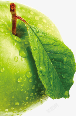 绿色手绘露珠新鲜苹果素材
