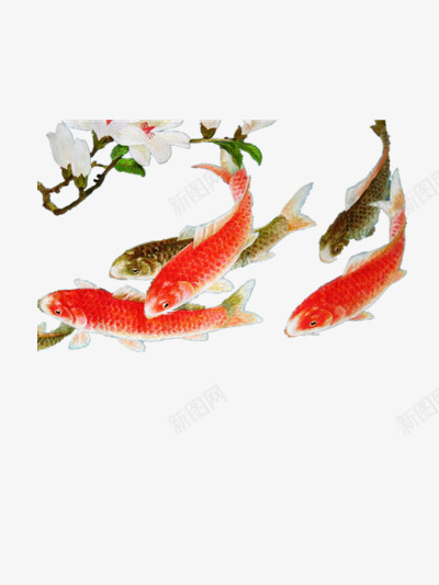 红鲤鱼png免抠素材_88icon https://88icon.com 中国风 桃花 水彩画 红鲤鱼 鲤鱼