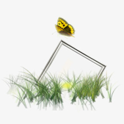 草丛中的蝴蝶和相框素材