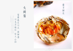 剥开的大闸蟹素材