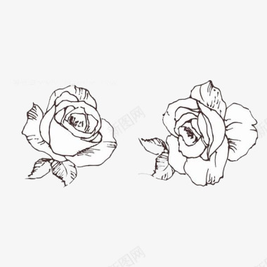美丽雪花两朵白玫瑰图标图标