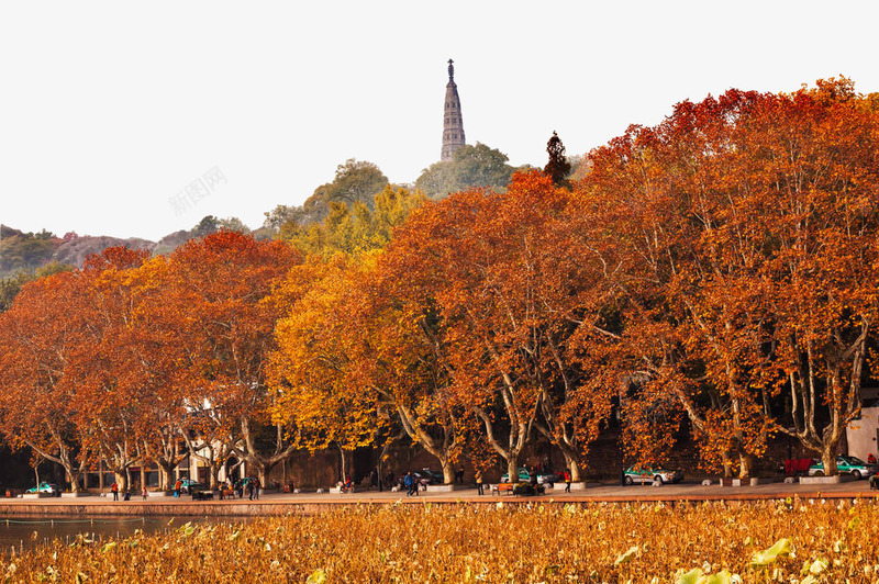 唯美特色建筑杭州地标图png免抠素材_88icon https://88icon.com 三潭印月 地标 杭州地标 杭州风景图 树林 特色建筑 西湖 风景