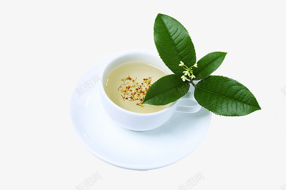 装饰茶杯png免抠素材_88icon https://88icon.com 花 茶杯 茶类 薄荷