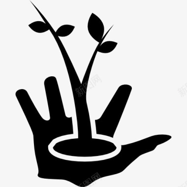 一个植物精华园丁的手与一个生长的植物上图标图标