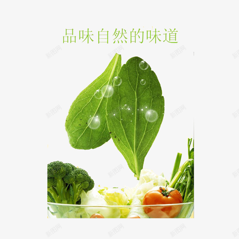 绿色无污染蔬菜png免抠素材_88icon https://88icon.com 清新 纯天然蔬菜 绿色 自然