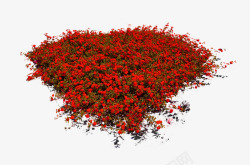 红色大气花园装饰图案素材