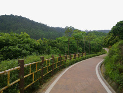 乡野山间小路高清图片