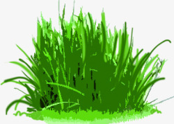 手绘绿色草丛美景素材
