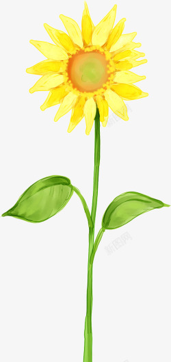 手绘黄色卡通向日葵花朵盛开素材