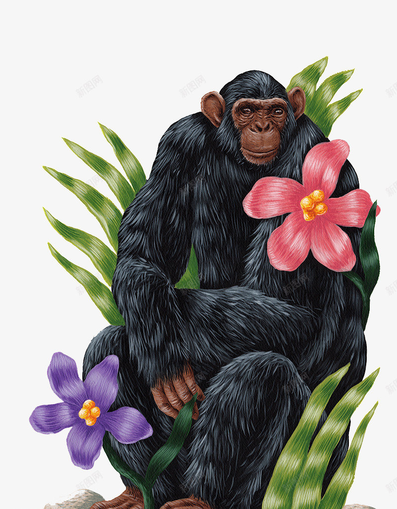 花丛中的黑猩猩png免抠素材_88icon https://88icon.com 爱花的猩猩 草丛中的猩猩 黑色的猩猩