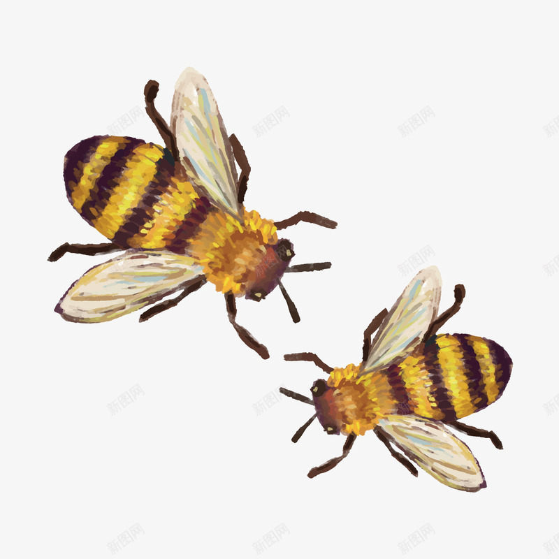 手绘蜜蜂矢量图ai免抠素材_88icon https://88icon.com 写实 动物 手绘 蜜蜂 矢量图