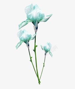 蓝色小花朵装饰背景布景素材