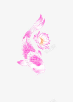 紫色中国风鲤鱼装饰图案素材