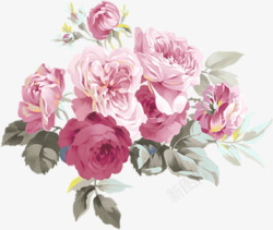 粉色盛开花朵手绘素材