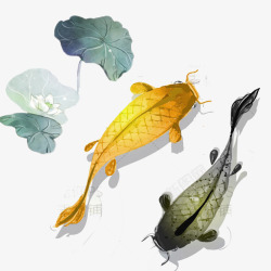 黄色中国风荷塘鲤鱼装饰图案素材