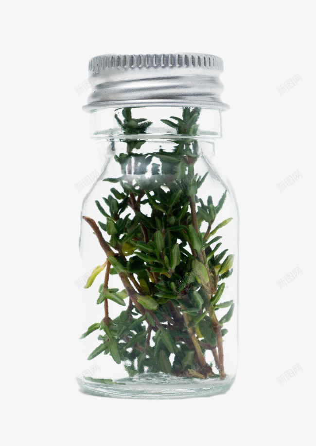 绿色干草植物png免抠素材_88icon https://88icon.com 家居装饰 干草植物 瓶内景观 绿色植物