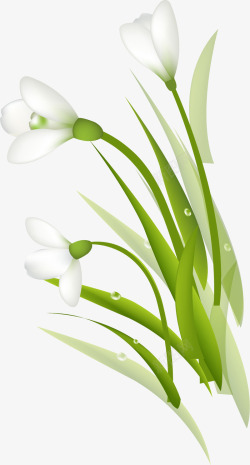 白色纯洁花朵植物卡通素材
