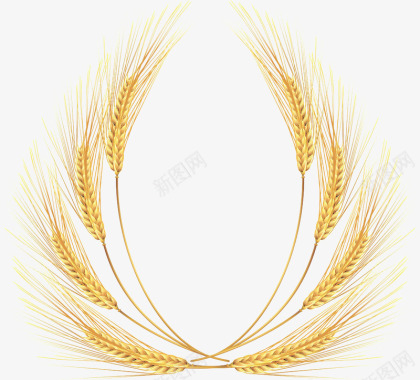 金黄金黄的麦穗装饰图案图标图标