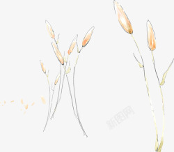 手绘清新春日户外花朵素材