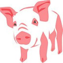 韩国生肖猪系列图标图标