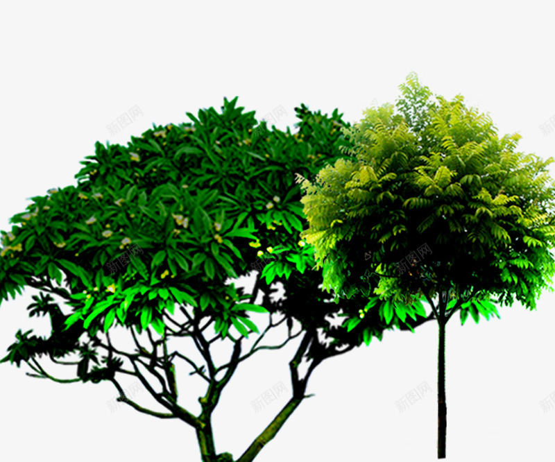 树psd免抠素材_88icon https://88icon.com 创意园林景观 创意园林景观图 园林设计 树 绿化植物 花园设计 造型树