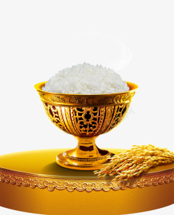 稻谷米饭素材