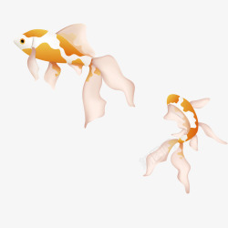 黄白相间游动的鲤鱼矢量图素材
