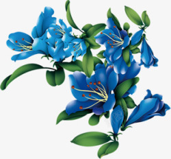 蓝色盛开花朵绿色叶子素材