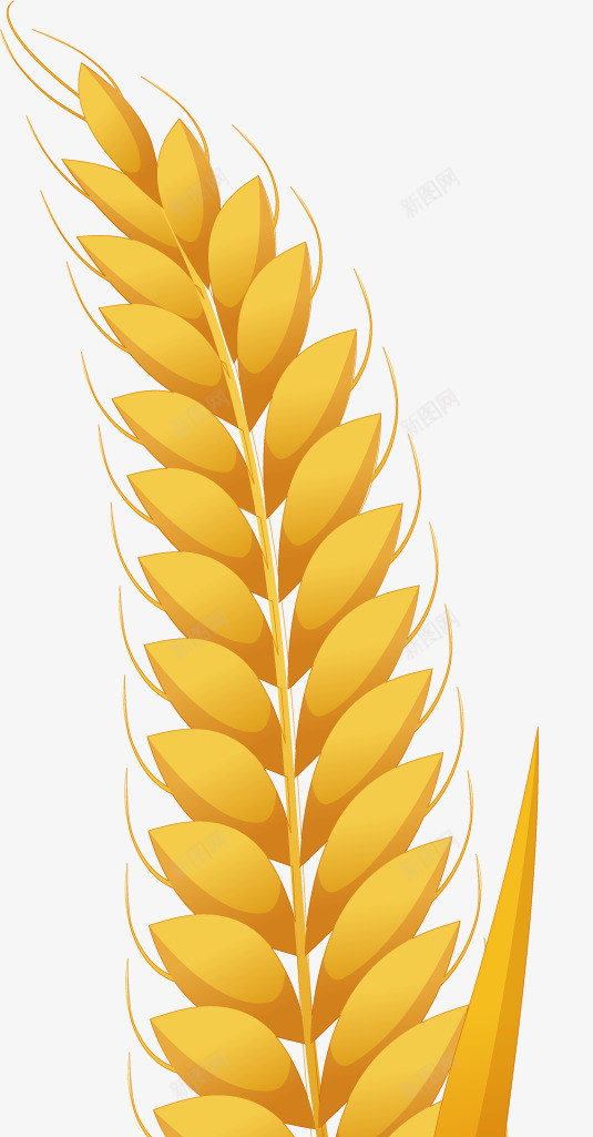 成熟的麦子矢量图ai免抠素材_88icon https://88icon.com 创意 成熟 收获 设计 食物 麦子 麦香 黄色 矢量图