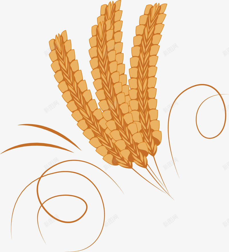 成熟的稻谷矢量图ai免抠素材_88icon https://88icon.com 成熟 收获 稻谷 稻香 美食 食物 黄色 矢量图