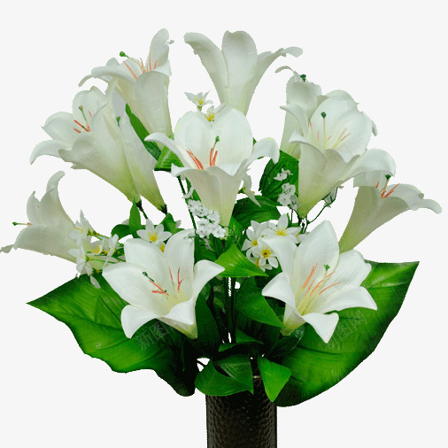 白色圣洁花朵png免抠素材_88icon https://88icon.com 植物 白色 纯洁 花朵 花苞