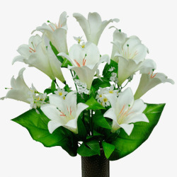 白色圣洁花朵素材