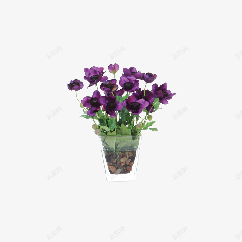 室内装饰花瓶png免抠素材_88icon https://88icon.com 室内装饰 小清新 植物 花瓶