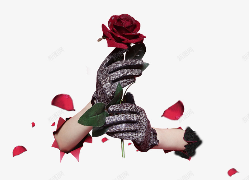 手握红色玫瑰花装饰图案png免抠素材_88icon https://88icon.com 免抠PNG 手握 玫瑰花 红色 装饰图案